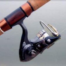 Daiwa Procaster 3000X