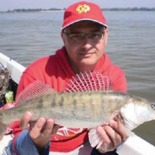 Strimeri i Jig Fly za smuđa šarenice - perjanice