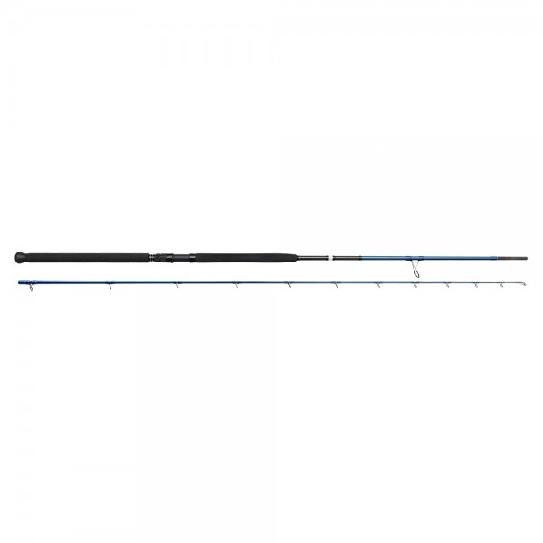 Savage Gear SGS2 Shore Jigging (Varaličarski štapovi) - www.eribolov.rs