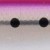 Pink Sardine
